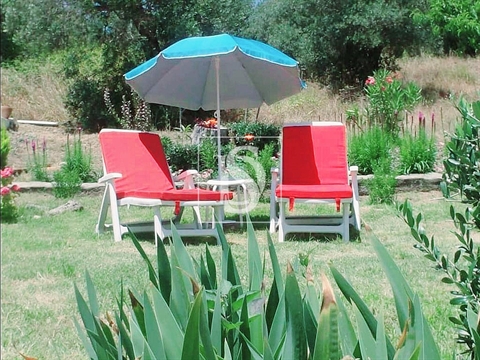 Quinta T4
