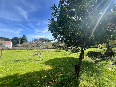 Detached house to restore T3+2