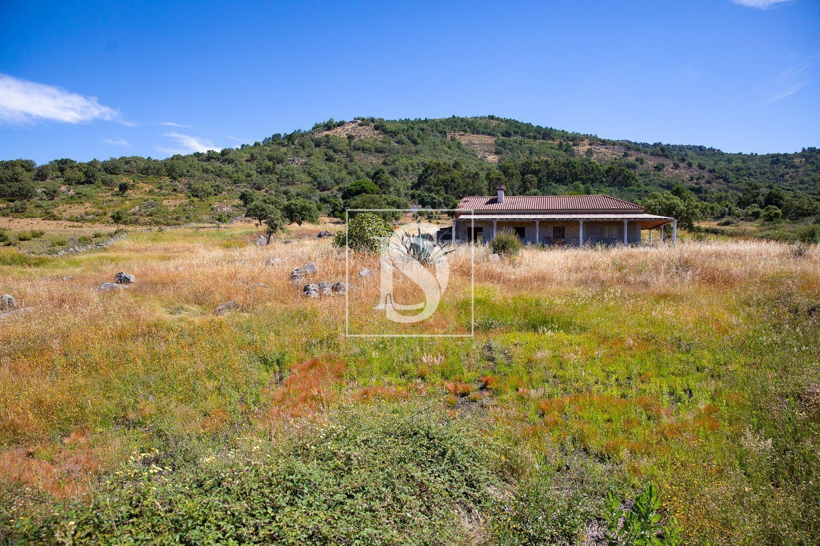 Quinta com 2,5 hectares em Ribeira de Nisa, Portalegre