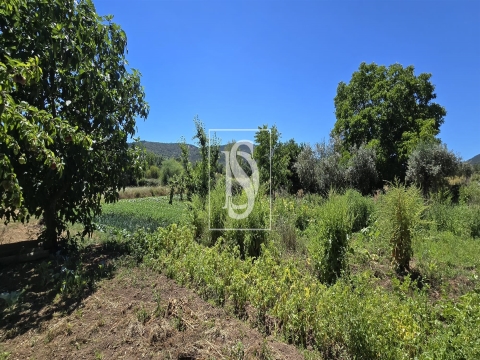 Quinta T3 - São Salvador da Aremanha