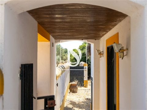 Quinta T4