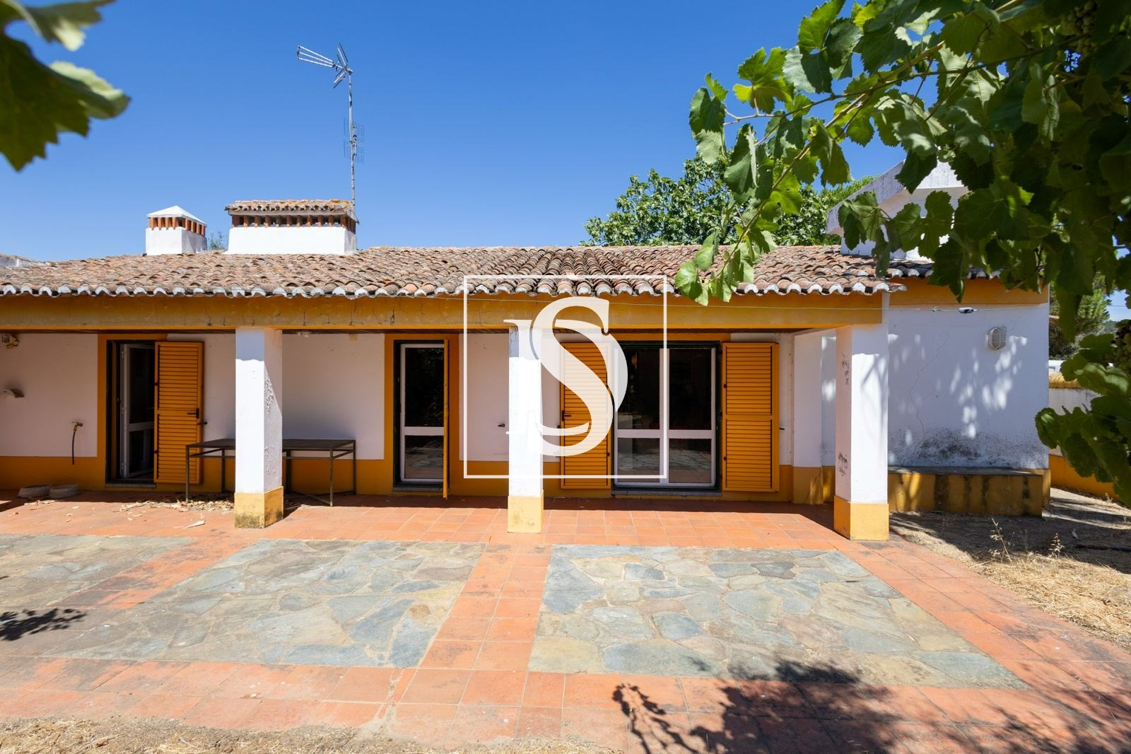 Quinta T4